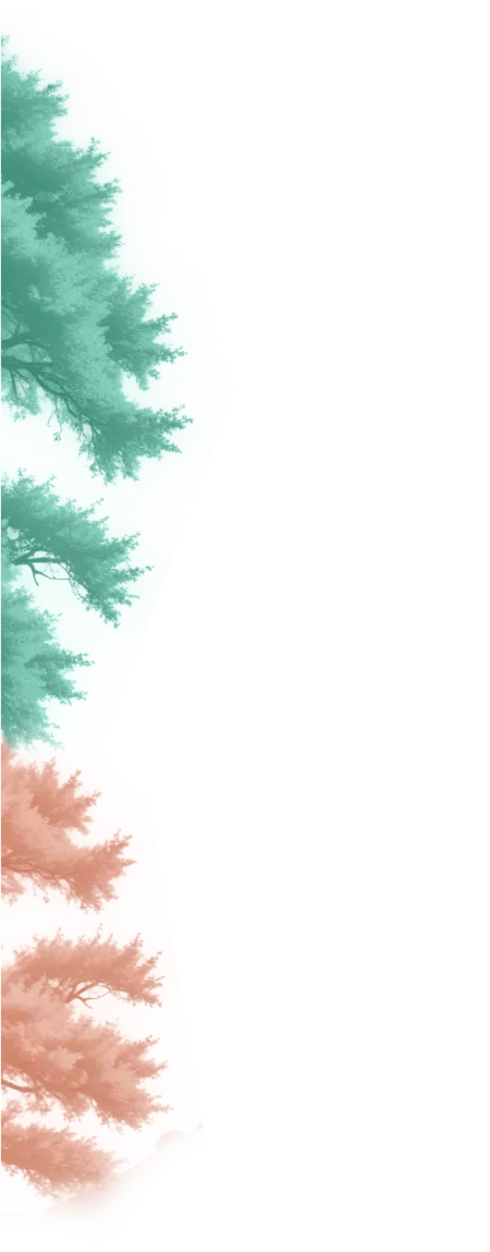 frame