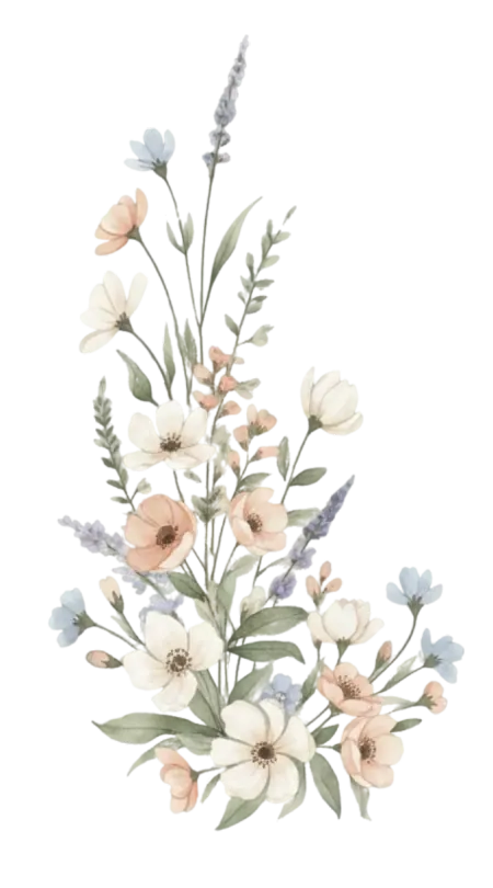 bl.webp